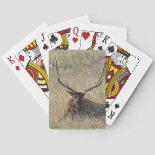 Jeu De Cartes E25 Taureau couché en herbe