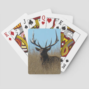 Jeu De Cartes E26 Élan mâle allongé dans les mauvaises herbes