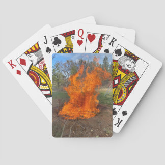 Jeu De Cartes Earth Pit Biochar