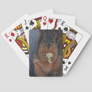 Jeu De Cartes Écureuil