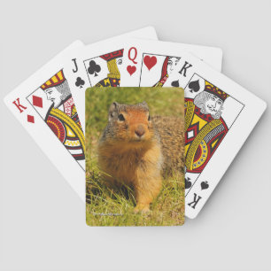 Jeu De Cartes Écureuil de fond colombien mignon dans l'herbe