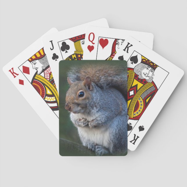 Jeu De Cartes Écureuil gris Jouer aux cartes (dos)