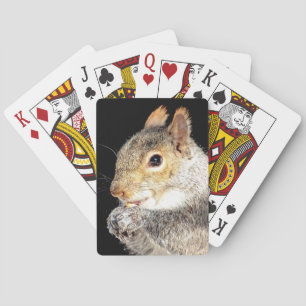 Jeu De Cartes Écureuil mangeant une noix