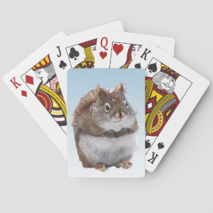 Jeu De Cartes Écureuil rouge doux Jouer des cartes