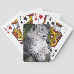 Jeu De Cartes Effrayant léopard de neige