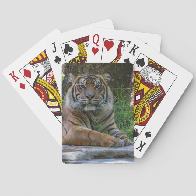 Jeu De Cartes Élégant (dos)