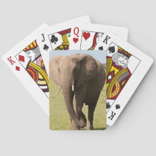 Jeu De Cartes Éléphant d'Afrique (Loxodonta Africana), Maasai