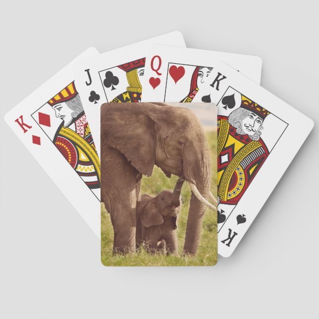 Jeu De Cartes Éléphant et bébé des images | de Getty (dos)