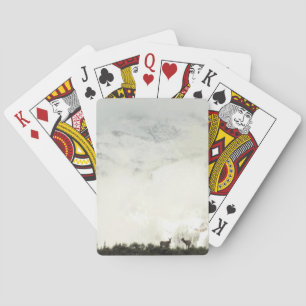 Jeu De Cartes Elk at Grand Teton National Park Photographie