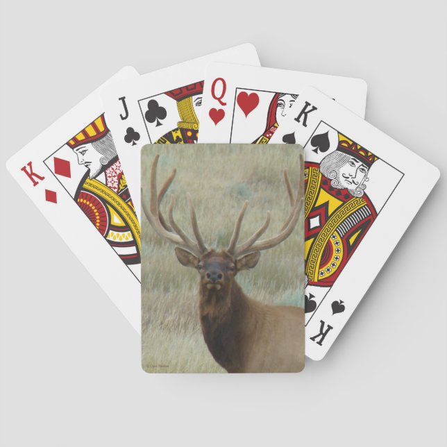 Jeu De Cartes Elk de taureau E10 en Tête de velours (dos)