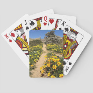 Jeu De Cartes Entrée de la plage de 90 km du printemps