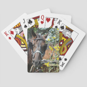 Jeu De Cartes Équestre en attente