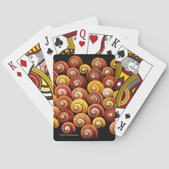 Jeu De Cartes Escargots cubains d'arbre (dos)