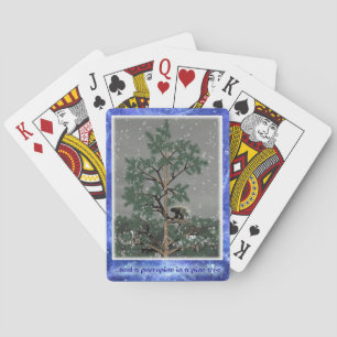 Jeu De Cartes Et Une Porcupine Dans Un Pin Tree
