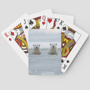 Jeu De Cartes États-Unis, Alaska, North Slope, ours polaires