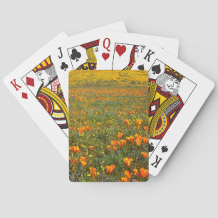 Jeu De Cartes États-Unis, Californie, Antelope Valley Californie