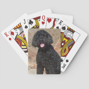 Jeu De Cartes États-Unis, Californie. Garde de Labradoodle