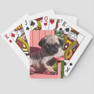 Jeu De Cartes États-Unis, Californie. Pug chiot avachi