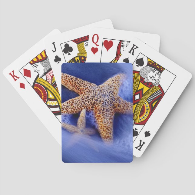 Jeu De Cartes États-Unis, Caroline du Sud, Hilton Head Island. D (dos)