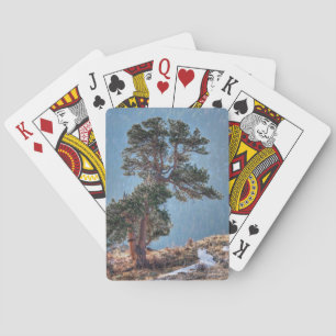 Jeu De Cartes États-Unis, Colorado, Arbre à Estes Park