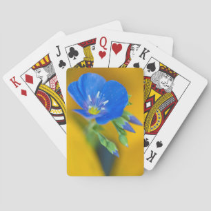 Jeu De Cartes États-Unis, Colorado. Gros plan sur un géranium à 