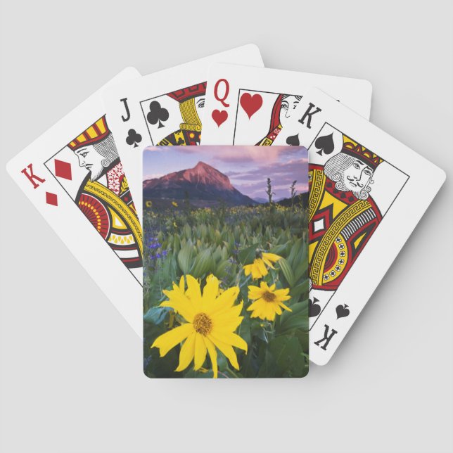 Jeu De Cartes États-Unis, Colorado, Mt. (dos)