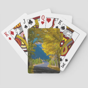 Jeu De Cartes États-Unis, Colorado. Route flanquée de peupliers