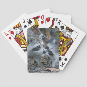 Jeu De Cartes États-Unis, Floride, Sanibel, Ding Darling Nationa