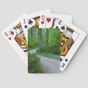 Jeu De Cartes États-Unis, Michigan. Chemin à travers les bois
