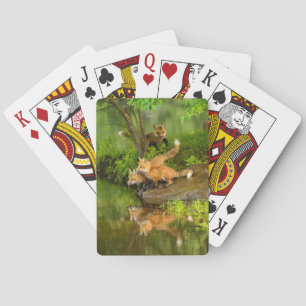 Jeu De Cartes États-Unis, Minnesota, Sandstone, faune du Minneso
