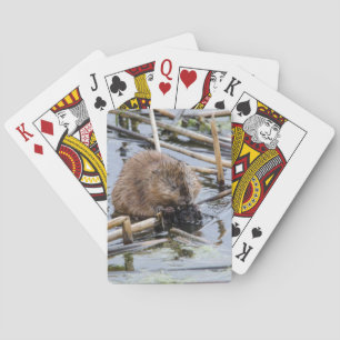 Jeu De Cartes États-Unis, Nebraska. Castor