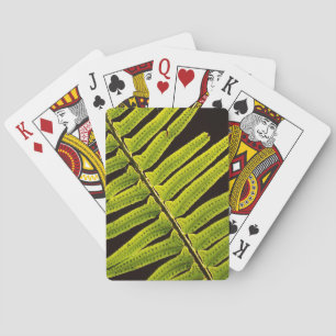 Jeu De Cartes États-Unis, Washington, Parc national Olympique, C