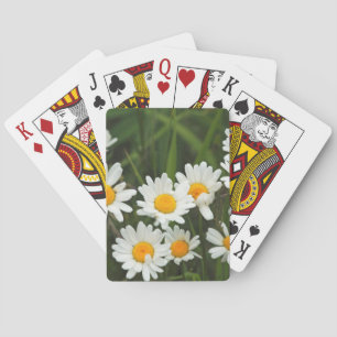 Jeu De Cartes États-Unis, Washington, Seattle, Puget Sound 3