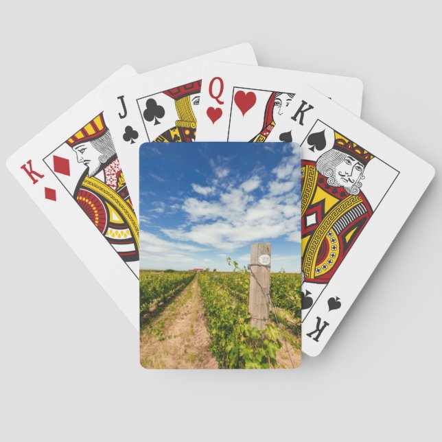 Jeu De Cartes États-Unis, Washington, Walla Walla. Cabernet Sauv (dos)