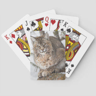 Jeu De Cartes États-Unis, Wyoming, Parc national de Yellowstone,