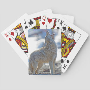 Jeu De Cartes États-Unis, Wyoming, Parc national de Yellowstone,