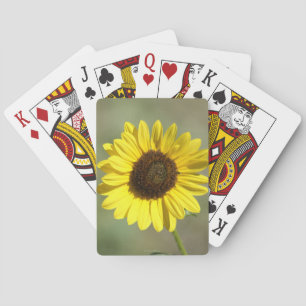 Jeu De Cartes F47 Fleur sauvage jaune Tournesol annuel commun