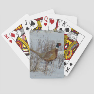 Jeu De Cartes Faisan B23 Anneau-étranglé dans la neige