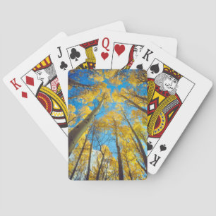 Jeu De Cartes Fall colors of Aspen trees 2