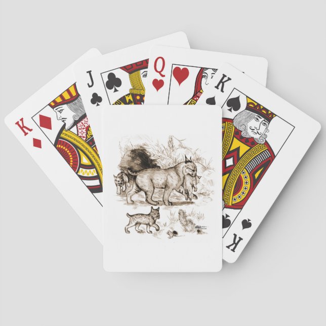 Jeu De Cartes Famille Bobcat (dos)