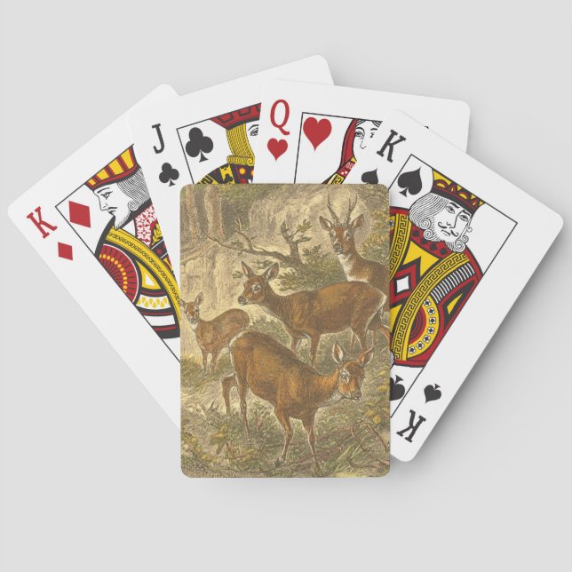 Jeu De Cartes Famille de Roe - Cerfs dans une forêt (dos)