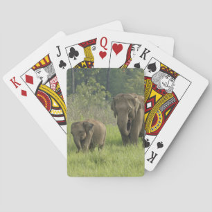 Jeu De Cartes Famille d'éléphants indiens