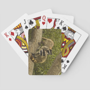 Jeu De Cartes Famille Raccoon
