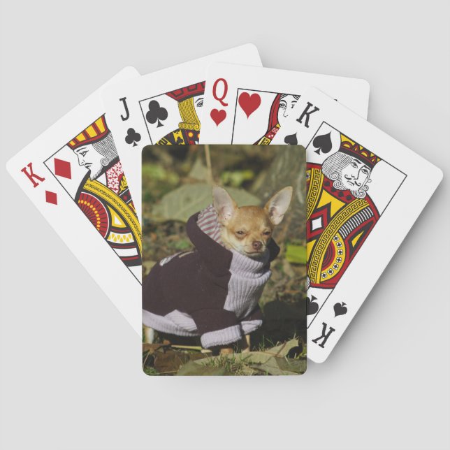 Jeu De Cartes Fancy Chihuahua (dos)