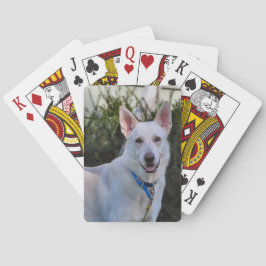 Jeu De Cartes Fantôme