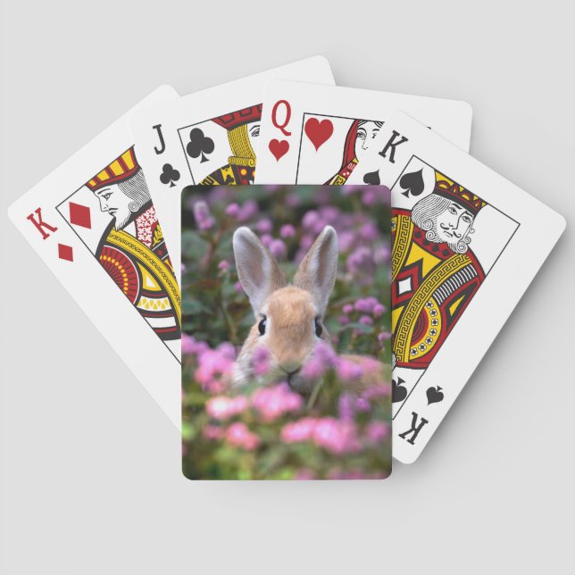 Jeu De Cartes Ferme de lapin (dos)