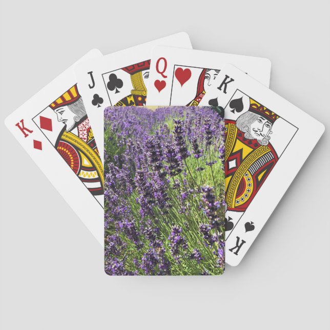 Jeu De Cartes Ferme de Lavender (dos)