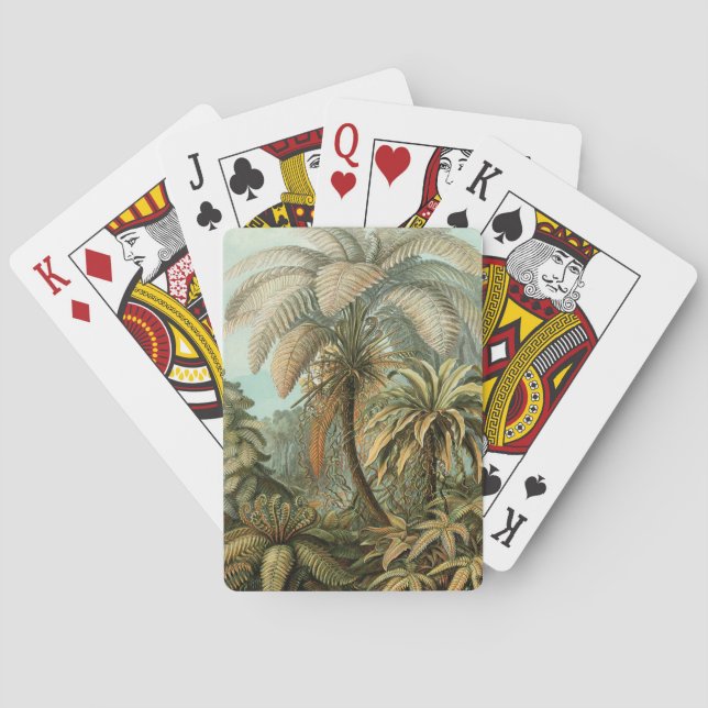 Jeu De Cartes Ferns Palm Tree Antiquité Botanique Ferns Art (dos)
