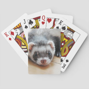 Jeu De Cartes Ferret Cute Sable