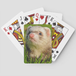 Jeu De Cartes Ferret de sable dans l'herbe